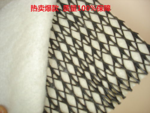 三維立體復合排水網(wǎng)土工網(wǎng) 垃圾填埋場的高效排水解決方案